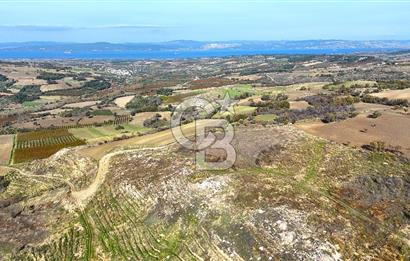 Çanakkale Merkez Kızılkeçilide Full Boğaz Manzaralı Tarla