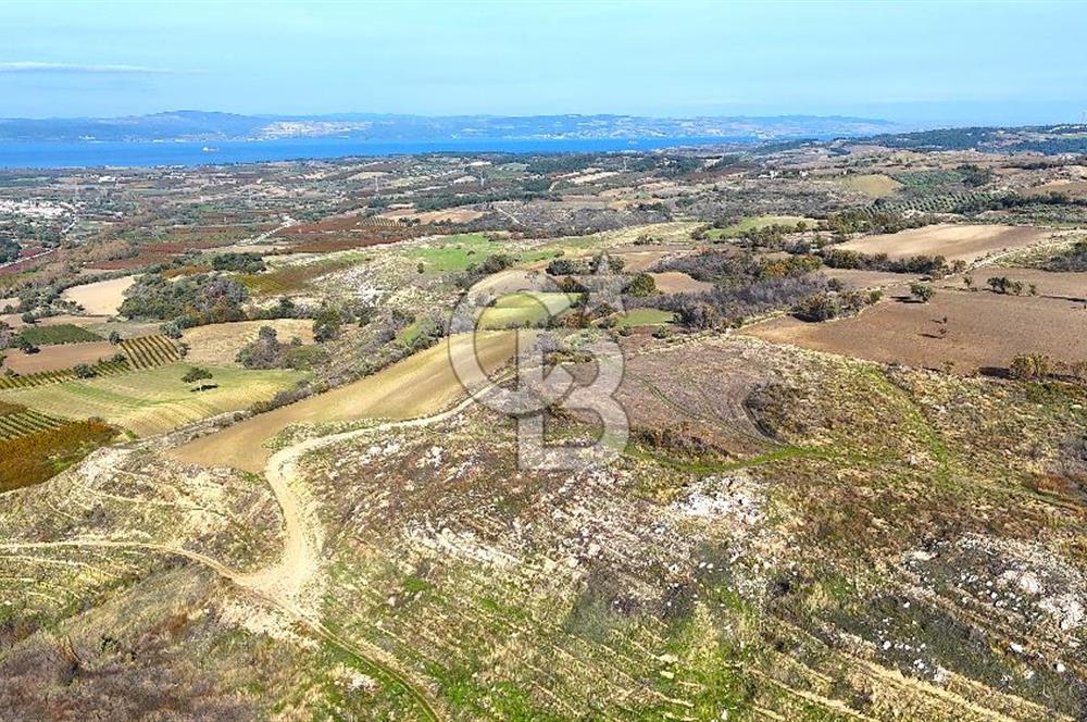 Çanakkale Merkez Kızılkeçilide Full Boğaz Manzaralı Tarla