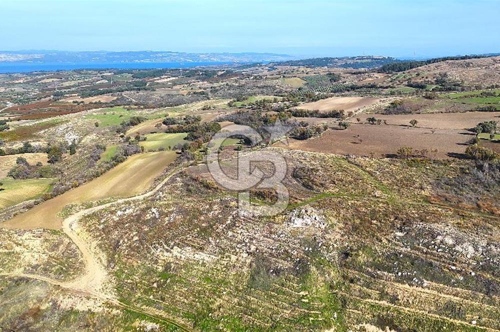 Çanakkale Merkez Kızılkeçilide Full Boğaz Manzaralı Tarla