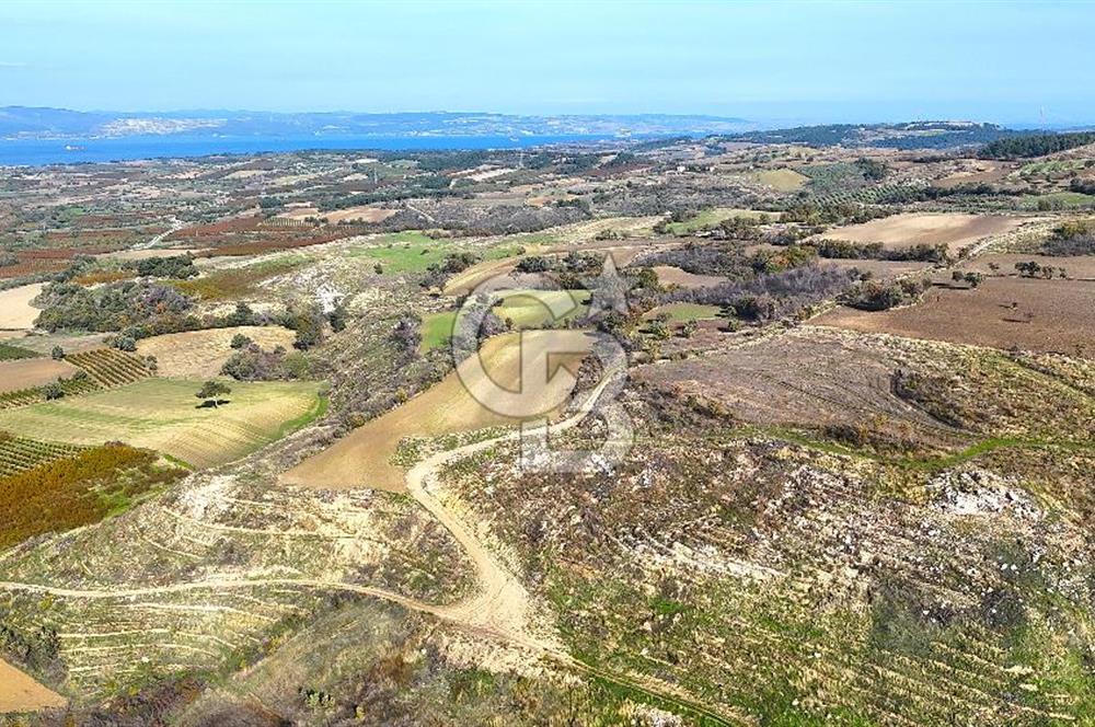 Çanakkale Merkez Kızılkeçilide Full Boğaz Manzaralı Tarla