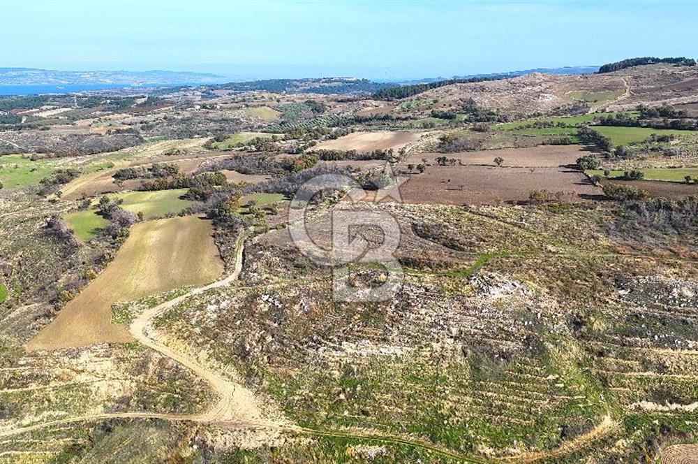 Çanakkale Merkez Kızılkeçilide Full Boğaz Manzaralı Tarla