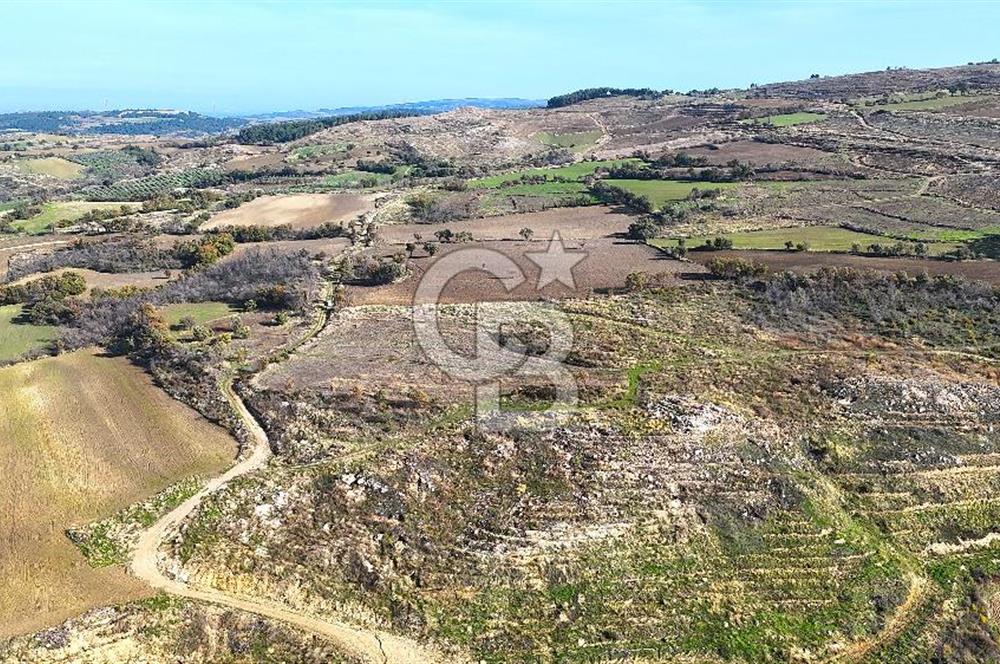 Çanakkale Merkez Kızılkeçilide Full Boğaz Manzaralı Tarla