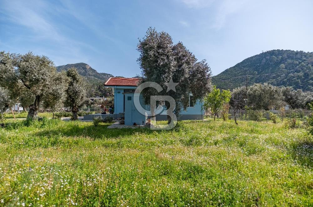 CB MARİNA'DAN HİSARÖNÜ'NDE 3191m2 ARAZİ  VE 2+2 EV 