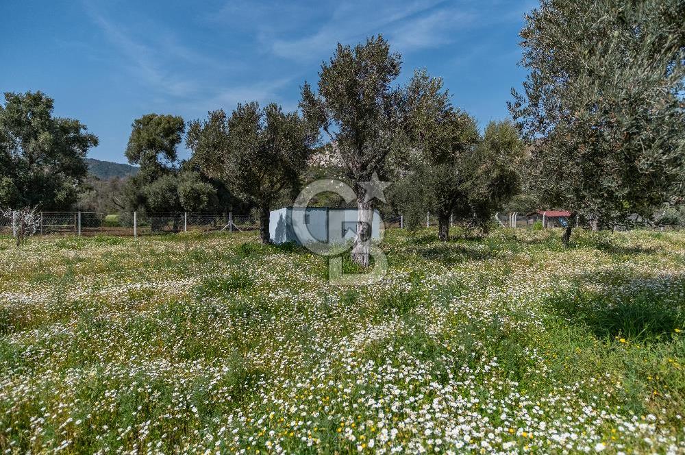 CB MARİNA'DAN HİSARÖNÜ'NDE 3191m2 ARAZİ  VE 2+2 EV 