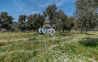 CB MARİNA'DAN HİSARÖNÜ'NDE 3191m2 ARAZİ  VE 2+2 EV 