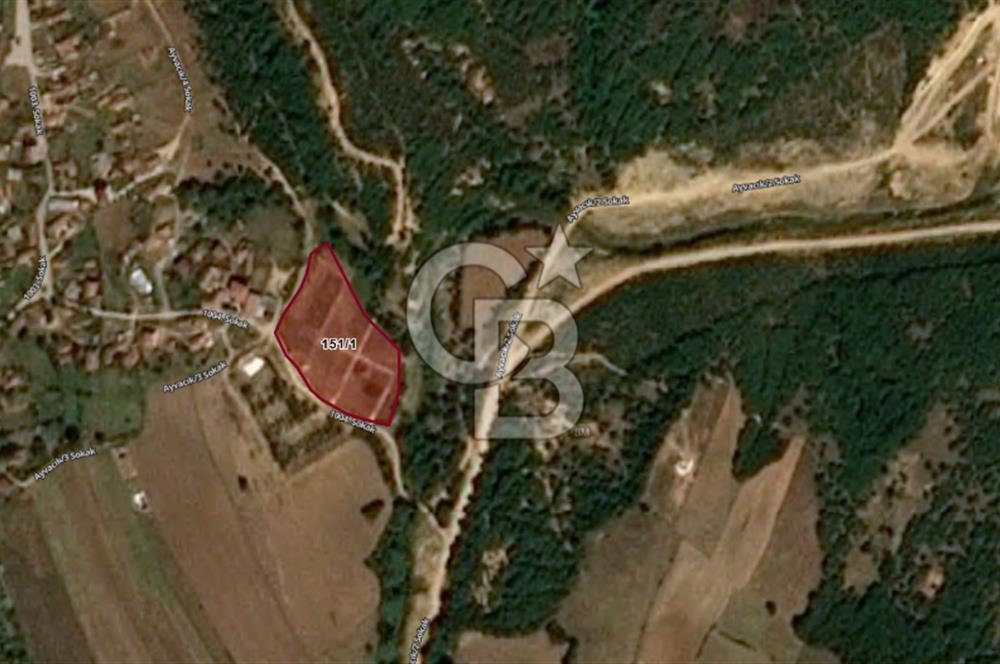 TEKİRDAĞ SARAY AYVACIK' TA 250 m² KÖY İÇİNDE İMARLI ARSA