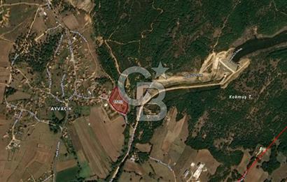 TEKİRDAĞ SARAY AYVACIK' TA 250 m² KÖY İÇİNDE İMARLI ARSA