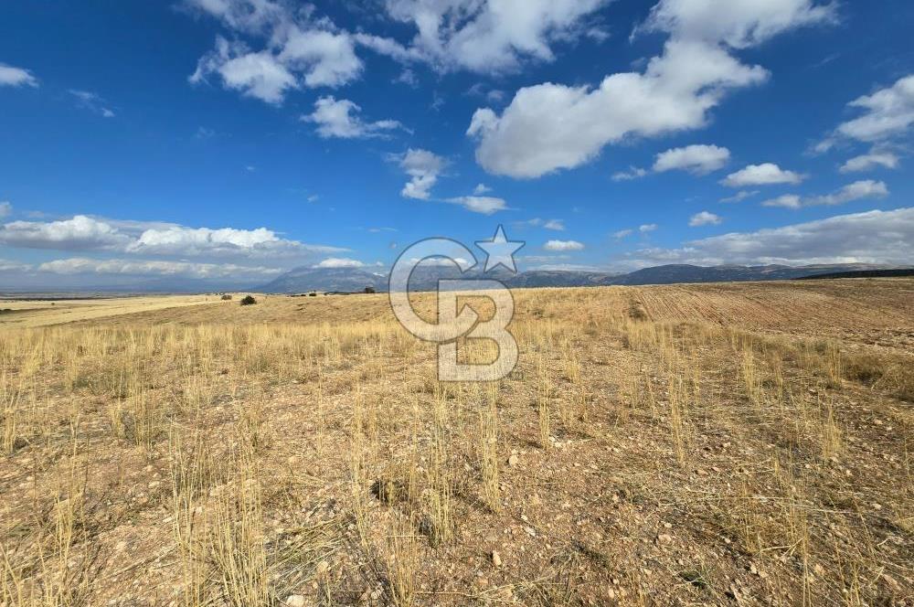 Afyon Dinarda İlçe Merkezi ve Sanayiye Yakın Satılık Tarla 