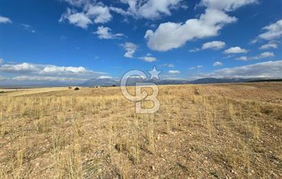 Afyon Dinarda İlçe Merkezi ve Sanayiye Yakın Satılık Tarla 