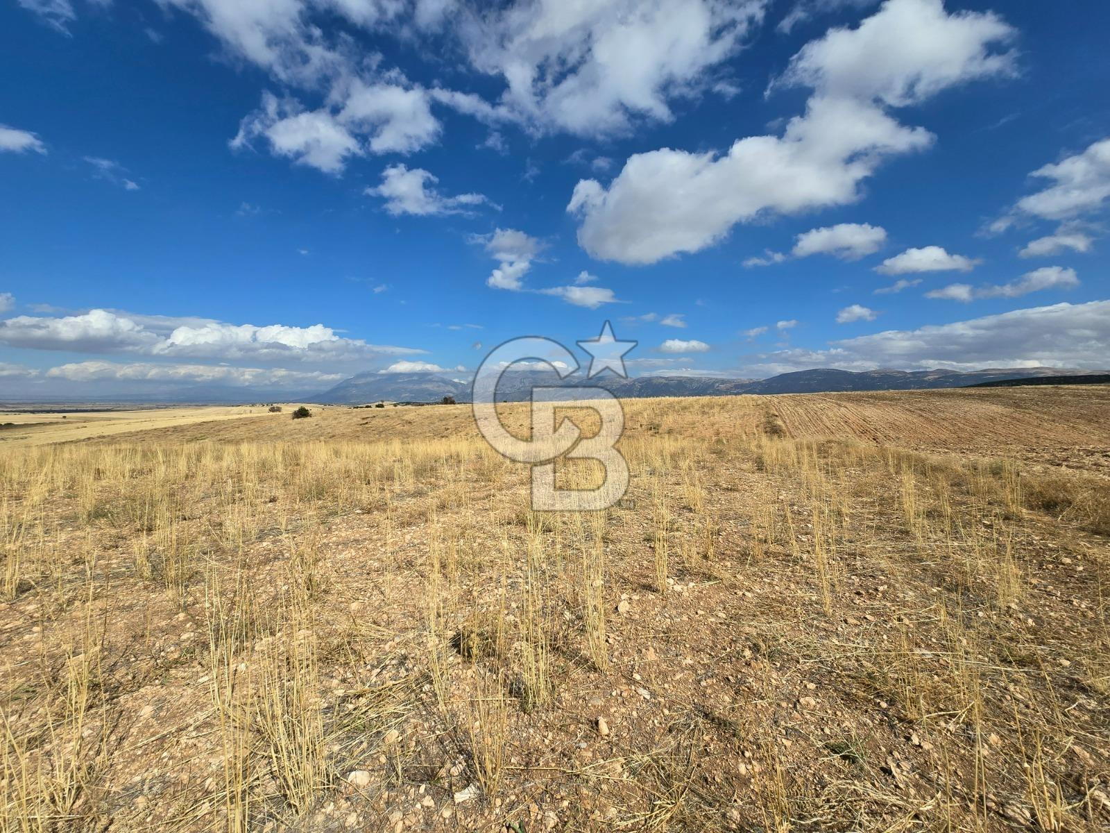 Afyon Dinarda İlçe Merkezi ve Sanayiye Yakın Satılık Tarla 