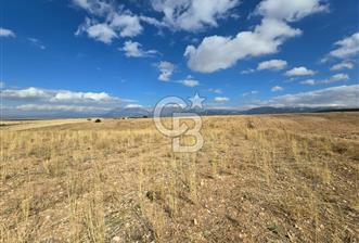 Afyon Dinarda İlçe Merkezi ve Sanayiye Yakın Satılık Tarla  - 7 - 316758