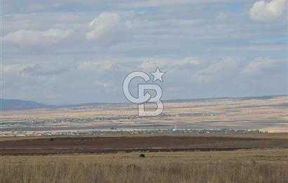 Afyon Dinarda İlçe Merkezi ve Sanayiye Yakın Satılık Tarla 