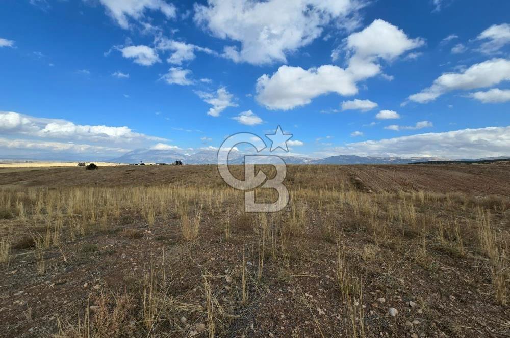 Afyon Dinarda İlçe Merkezi ve Sanayiye Yakın Satılık Tarla 