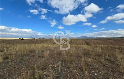 Afyon Dinarda İlçe Merkezi ve Sanayiye Yakın Satılık Tarla 