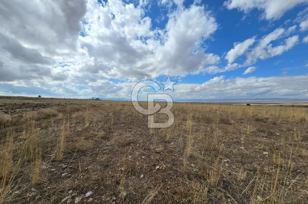 Afyon Dinarda İlçe Merkezi ve Sanayiye Yakın Satılık Tarla 