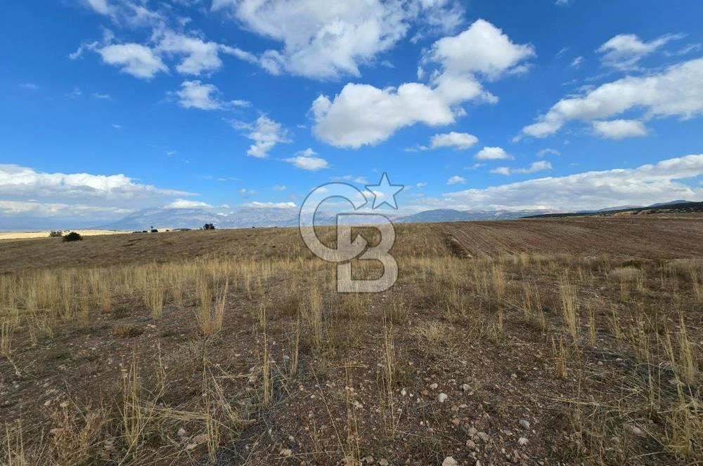 Afyon Dinarda İlçe Merkezi ve Sanayiye Yakın Satılık Tarla 