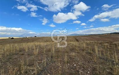 Afyon Dinarda İlçe Merkezi ve Sanayiye Yakın Satılık Tarla 