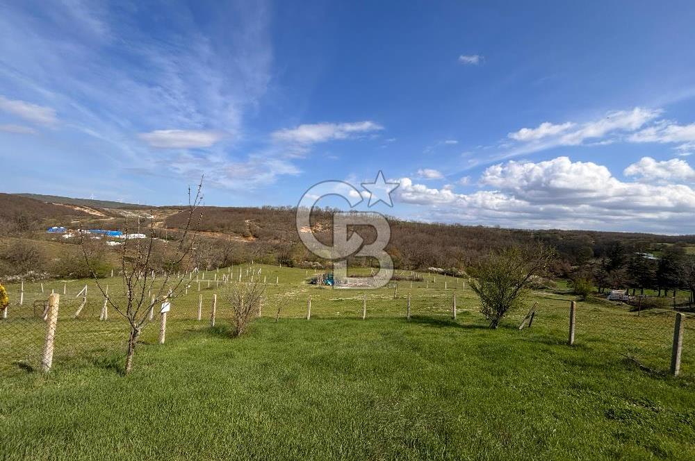 TEKİRDAĞ SARAY AYVACIK' TA 250 m² KÖY İÇİNDE İMARLI ARSA