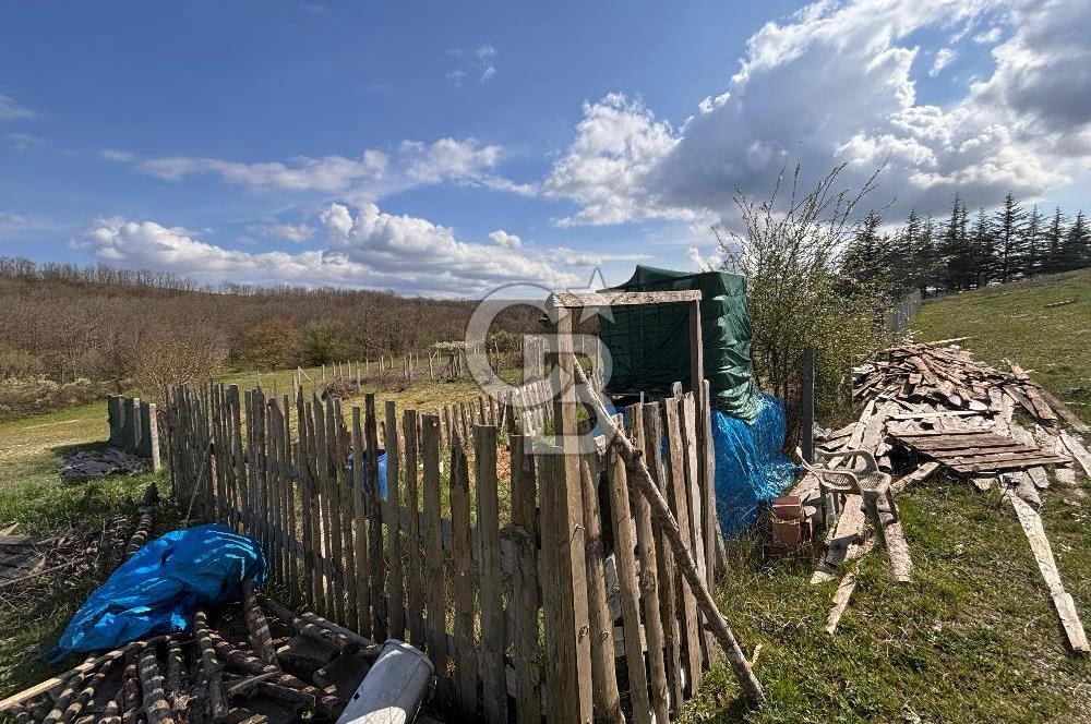 TEKİRDAĞ SARAY AYVACIK' TA 250 m² KÖY İÇİNDE İMARLI ARSA