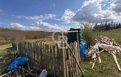 TEKİRDAĞ SARAY AYVACIK' TA 250 m² KÖY İÇİNDE İMARLI ARSA