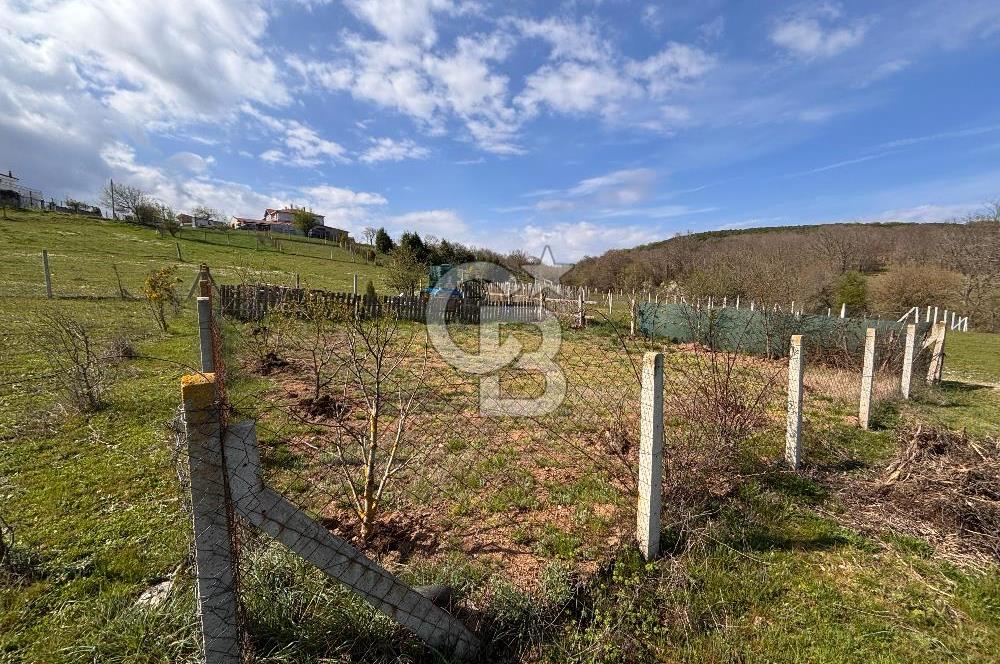 TEKİRDAĞ SARAY AYVACIK' TA 250 m² KÖY İÇİNDE İMARLI ARSA