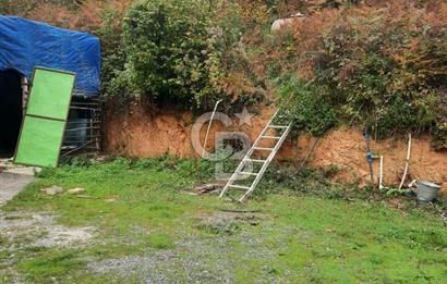 CB'DAN BEYKOZ MAHMUTŞEVKETPAŞA 3 DÖNÜM MÜSTAKİL SATILIK ARSA