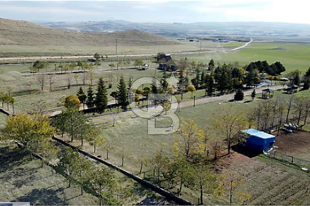 Gedikli'de Tek Tapu Hazır Kurulu Kooperatif Arsası Satışta!