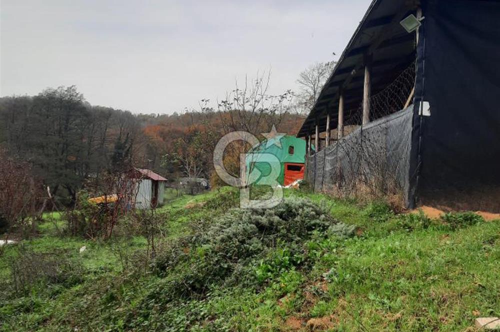 CB'DAN BEYKOZ MAHMUTŞEVKETPAŞA 3 DÖNÜM MÜSTAKİL SATILIK ARSA