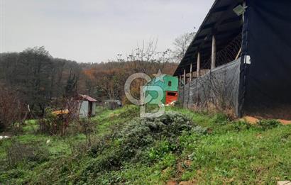 CB'DAN BEYKOZ MAHMUTŞEVKETPAŞA 3 DÖNÜM MÜSTAKİL SATILIK ARSA