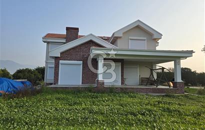 Menemen Emiralem Satılık Bağ