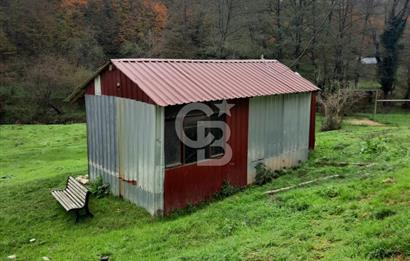 CB'DAN BEYKOZ MAHMUTŞEVKETPAŞA 3 DÖNÜM MÜSTAKİL SATILIK ARSA