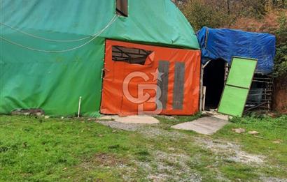 CB'DAN BEYKOZ MAHMUTŞEVKETPAŞA 3 DÖNÜM MÜSTAKİL SATILIK ARSA