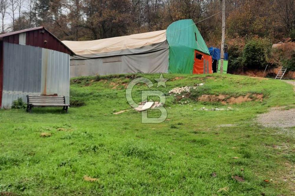 CB'DAN BEYKOZ MAHMUTŞEVKETPAŞA 3 DÖNÜM MÜSTAKİL SATILIK ARSA