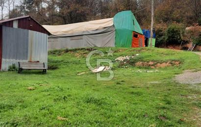 CB'DAN BEYKOZ MAHMUTŞEVKETPAŞA 3 DÖNÜM MÜSTAKİL SATILIK ARSA