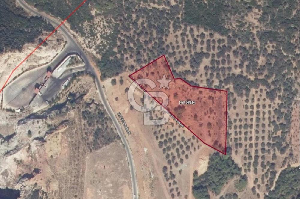 GÜZELBAHÇE YELKİ'DE YATIRIMLIK MÜKEMMEL KONUMDA SATILIK TARLA