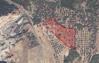 GÜZELBAHÇE YELKİ'DE YATIRIMLIK MÜKEMMEL KONUMDA SATILIK TARLA