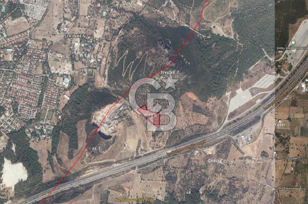 GÜZELBAHÇE YELKİ'DE YATIRIMLIK MÜKEMMEL KONUMDA SATILIK TARLA