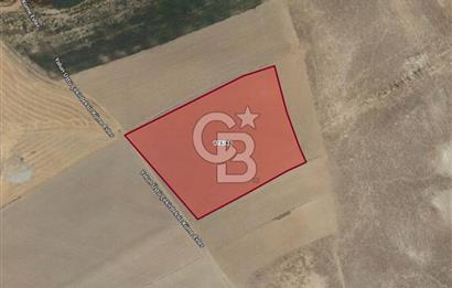 ANKARA POLATLI 11397 M2 OTOYOL CEPHELİ TEK TAPU ARAZİ