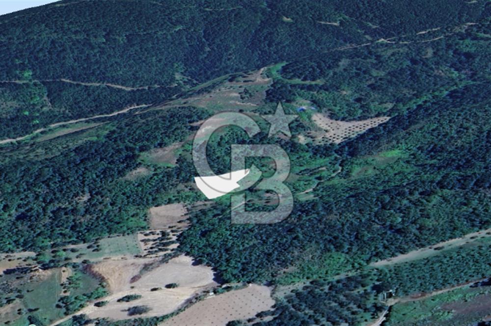 Karamürsel Akçat'ta 1.841M² Köy'e 700MT Satılık 2 Adet TARLA!