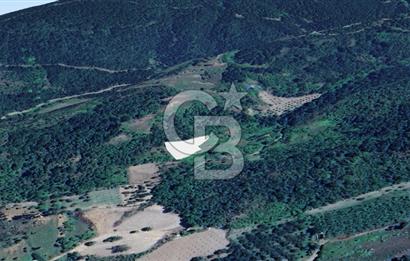 Karamürsel Akçat'ta 1.841M² Köy'e 700MT Satılık 2 Adet TARLA!