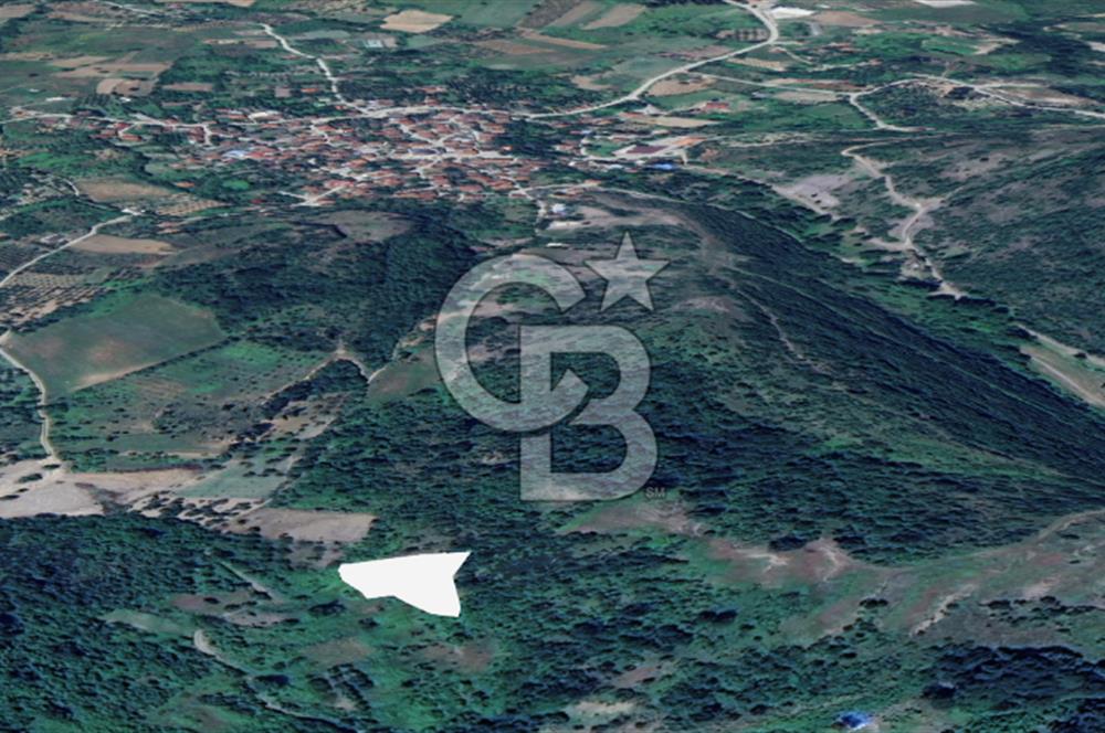 Karamürsel Akçat'ta 1.841M² Köy'e 700MT Satılık 2 Adet TARLA!