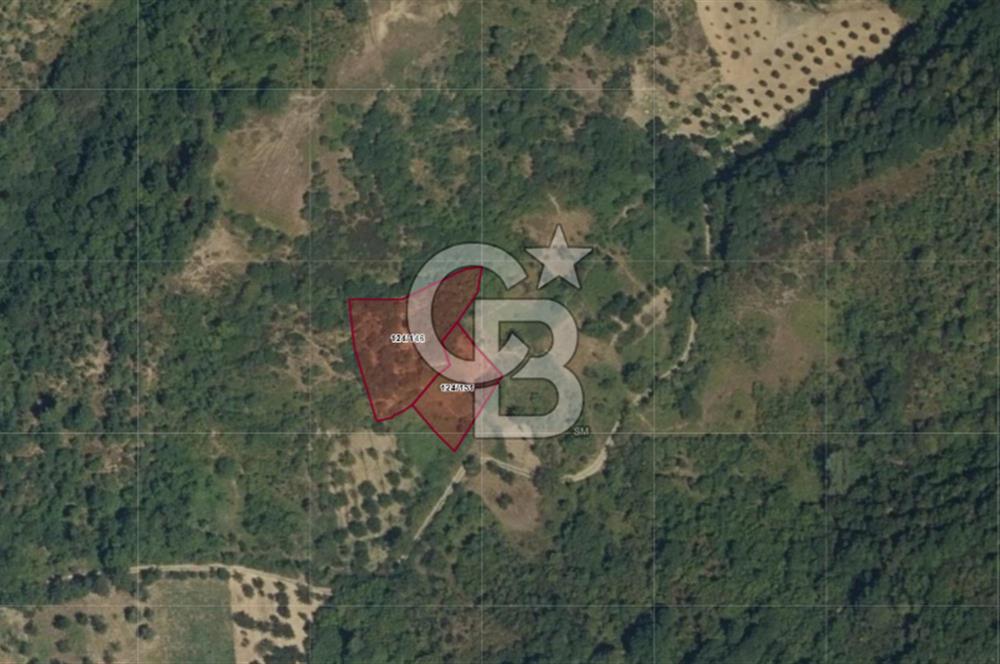 Karamürsel Akçat'ta 1.841M² Köy'e 700MT Satılık 2 Adet TARLA!