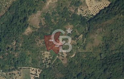 Karamürsel Akçat'ta 1.841M² Köy'e 700MT Satılık 2 Adet TARLA!