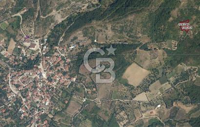 Karamürsel Akçat'ta 1.841M² Köy'e 700MT Satılık 2 Adet TARLA!