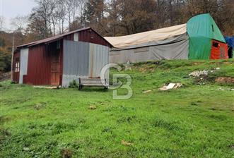 CB'DAN BEYKOZ MAHMUTŞEVKETPAŞA 3 DÖNÜM MÜSTAKİL SATILIK ARSA - 6 - 316830
