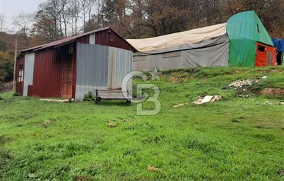 CB'DAN BEYKOZ MAHMUTŞEVKETPAŞA 3 DÖNÜM MÜSTAKİL SATILIK ARSA