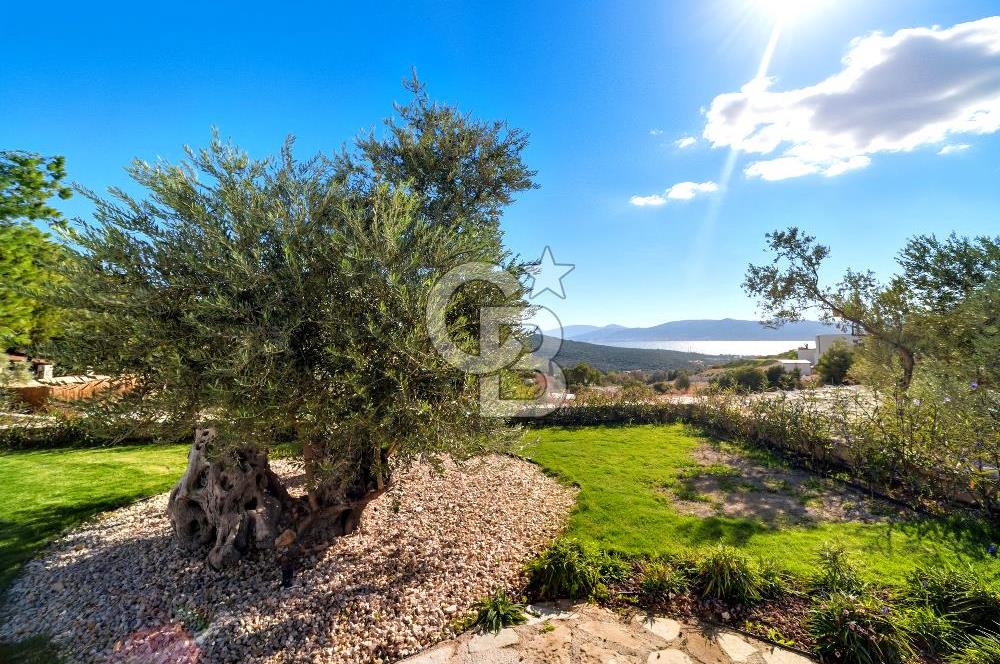 URLA ÖZBEK'TE BENZERSİZ BİR YAŞAM ALANI