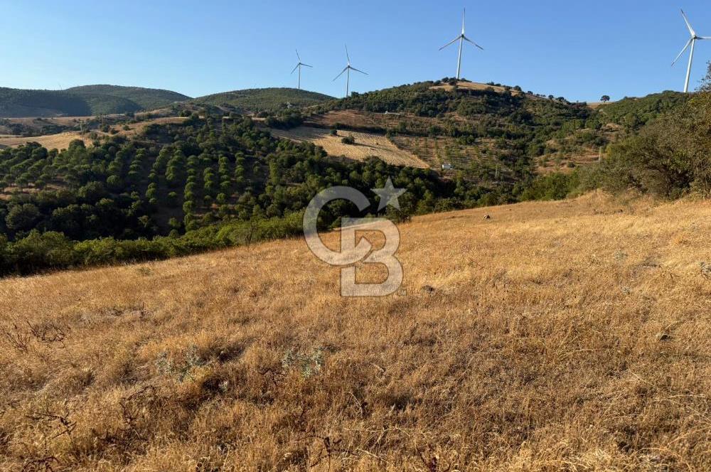 Balıkesir KEPSUT Recep’te yola cepheli 16 dönüm satılık tarla