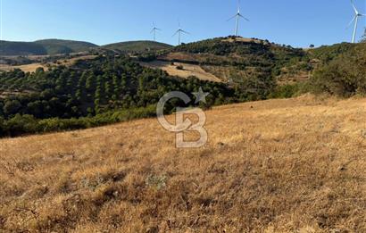 Balıkesir KEPSUT Recep’te yola cepheli 16 dönüm satılık tarla