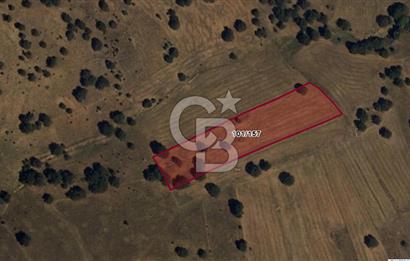 Afyon İhsaniye Kadımürsel | 6 Dönüme Yakın Verimli SATILIK Tarla